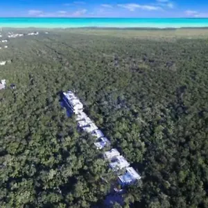 https://supreme-jungle-holiday-home-in-tulum-private-pool.quintano-roohotels.com